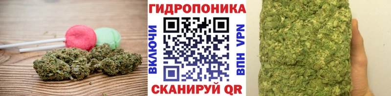 кракен как зайти  дарнет шоп  Надым  Печенье с ТГК марихуана 