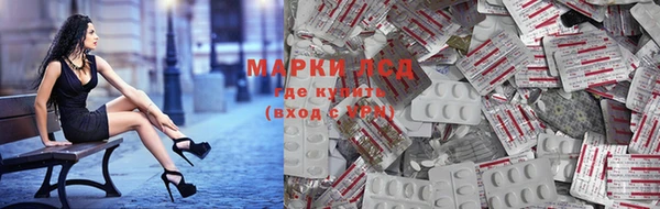 mdpv Богородск
